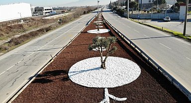 Manisa'da susuz peyzajlar kaynakları koruyor