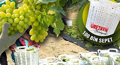 Manisa'da üzüm üreticilerine 'sepet' desteği