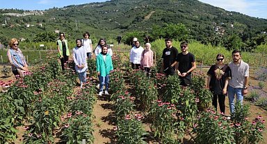 Ordu tarımda ilklere imza atıyor