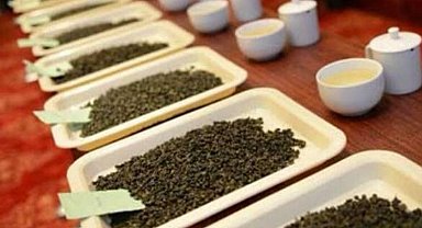 Rize'de çay üreticilerine 'butik' eğitim
