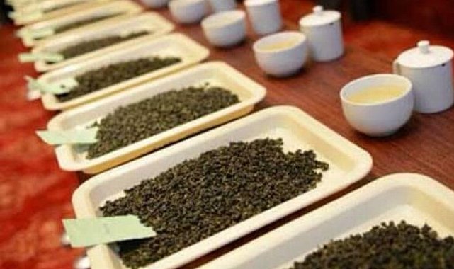 Rize'de çay üreticilerine 'butik' eğitim