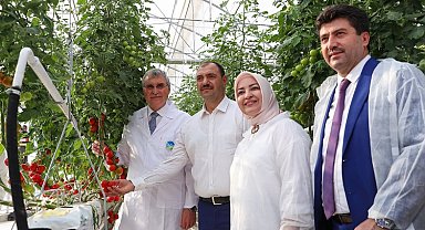 Sakarya'da Seracılık Mükemmeliyet Merkezi'nde ilk hasat