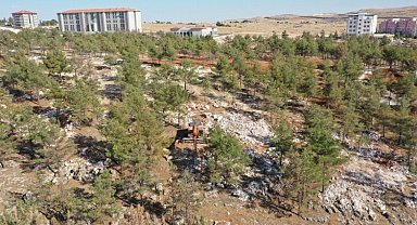 Şanlıurfa yeşile bürünecek