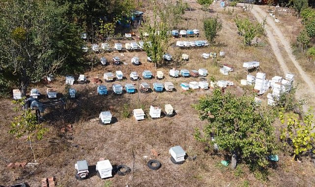 Türkiye'nin ilk 'arı borsası' Bursa Mustafakemalpaşa'da kuruluyor