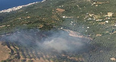 AFAD'dan 'orman' genelgesi