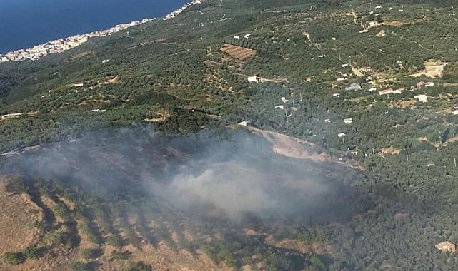 AFAD'dan 'orman' genelgesi