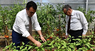 Ata mirası Bursa Osmangazi'de yeşeriyor