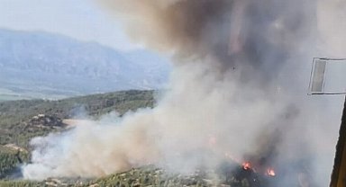 Aydın Nazilli'de orman yangını kontrol altına alındı