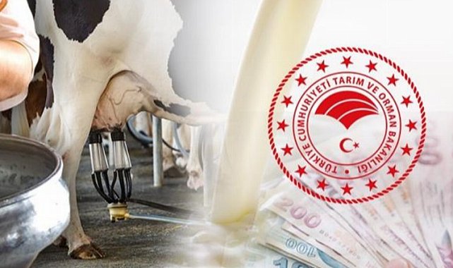 Bakan Kirişci duyurdu... 833,6 milyon TL bugün hesaplarda