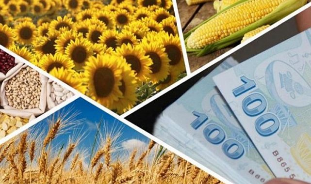 Bakan Kirişci duyurdu... Tarımsal desteğe 87,2 miyon TL bugün hesaplarda