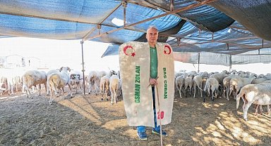 Başkan Zolan çoban kepeneği giydi, koyun kırktı