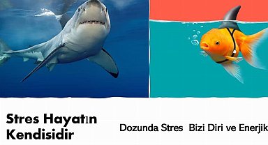 BTSO Akademi iş dünyasına yönelik eğitimlerini sürdürüyor