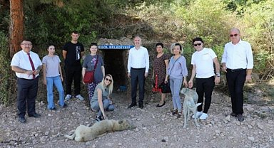 Bursa İnegöl'de sokak canlılarına doğal alanlar