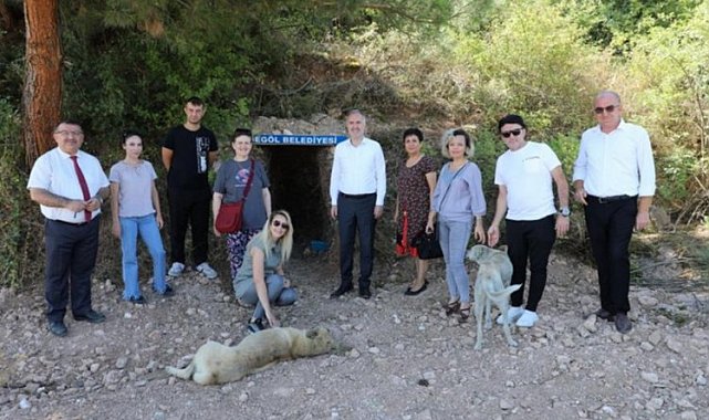 Bursa İnegöl'de sokak canlılarına doğal alanlar