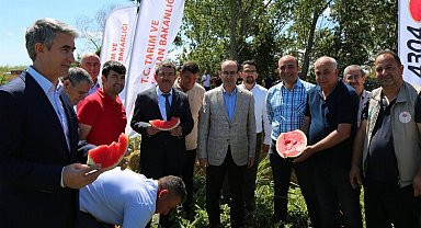 Bursa Karacabey'de karpuz hasadı