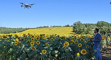 Bursa Kestel'de 'çayır tırtılı'na drone önlemi