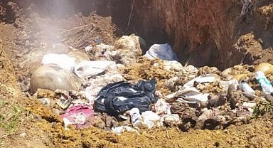 Bursa Mudanya'da karasineğin nedeni ihmal