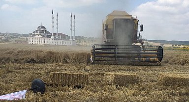 Bursa Nilüfer'de buğday tarla günü düzenlendi