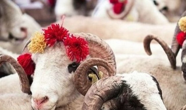 Bursa Osmangazi'de kurban kesim yerleri belli oldu