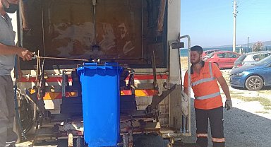 Çanakkale'de karasinek savaşı