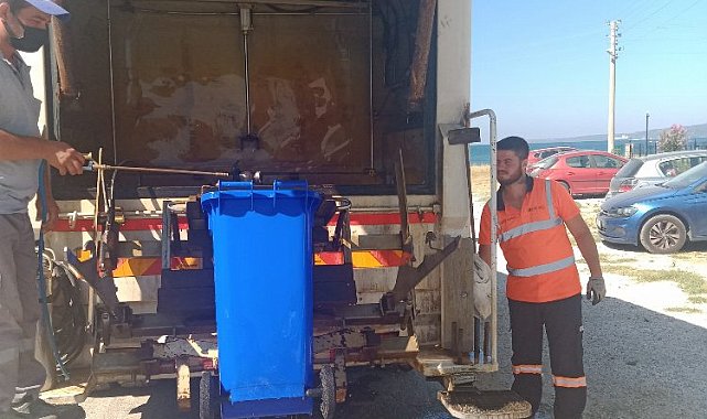 Çanakkale'de karasinek savaşı