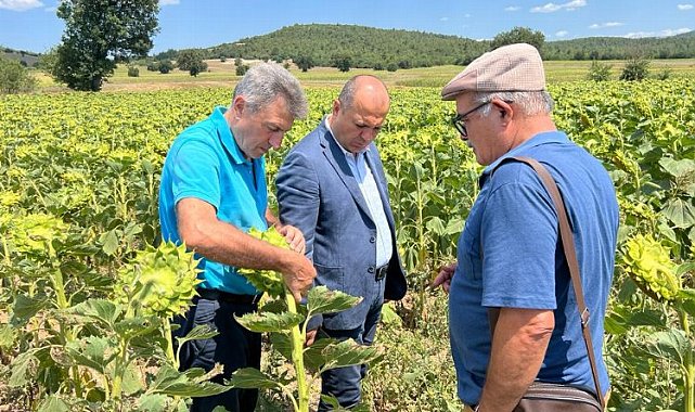CHP'li Tekirdağ Milletvekili Aygun, Tarım Bakanı'na Bursa Ovası'ndan seslendi