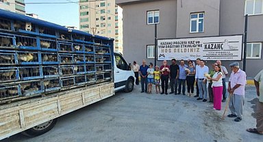 Çiftçiye kaz ve yem desteği