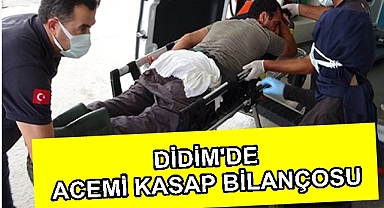 DİDİM'DE ACEMİ KASAP BİLANÇOSU