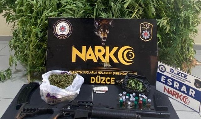 Düzce'de hint keneviri operasyonu: 1 tutuklama