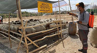 Gaziantep'te kurbanlık alanlar ilaçlanıyor