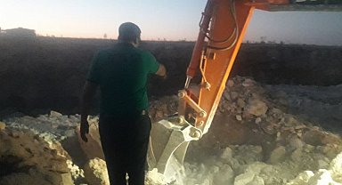 Gaziantep'te molozların altında sıkışan yavru köpekler kurtarıldı