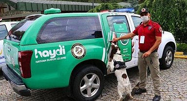 HAYDİ'yi 2 yılda 218 bin kişi indirdi