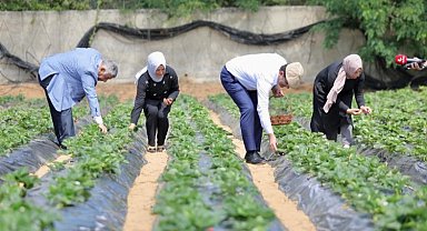 İBB'nin fideleri meyvelerini verdi