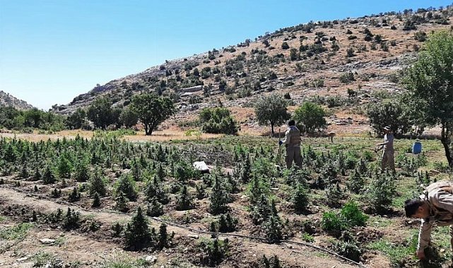 İçişleri Diyarbakır'ı 'Abluka' altına aldı