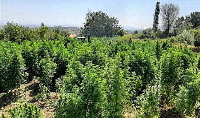 İçişleri Diyarbakır'ı kenevir 'Abluka'sına aldı