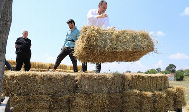 İstanbul Silivri'de üreticiler çifte bayram yaptı