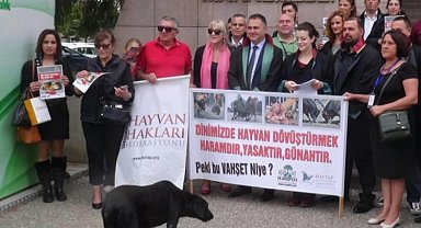 İzmir Bayındır'da hayvan katliamı iddiası