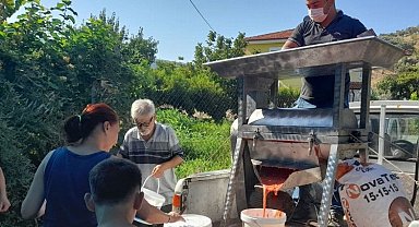İzmir Efes Selçuk'ta salça zamanı... "Ezilenler domates olsun"