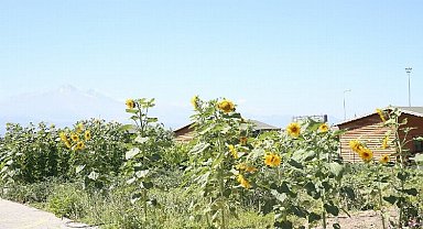 Kayseri Büyükşehir doğal pazar açıyor