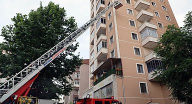 Kayseri Talas'ta arılar oğul verdi