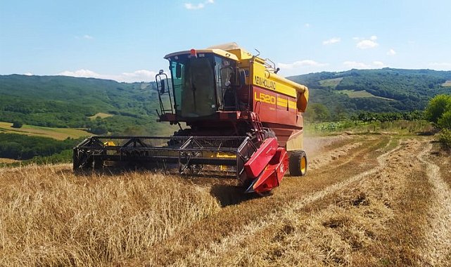Kocaeli İzmit'te 'siyez' bereketi