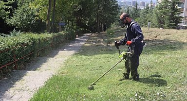 Kocaeli İzmit'te tırpan mesaisi