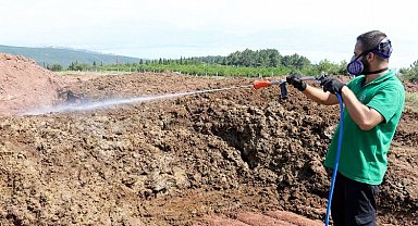Kocaeli'de kurban pazar yerleri ilaçlanıyor
