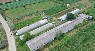 Kocaeli'de üreticilere yüzde 50 hibeli sera desteği