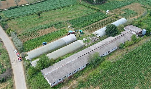 Kocaeli'de üreticilere yüzde 50 hibeli sera desteği
