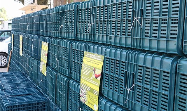 Manisa'da kasalar hazır, Eylül'de dağıtılacak... Yüzde 100 hibeli 60 bin zeytin kasası dağıtılacak