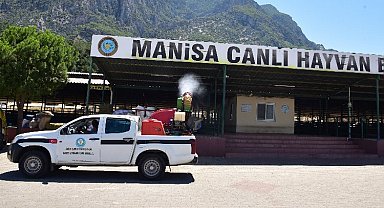 Manisa'da kurban satış yerleri ilaçlanıyor