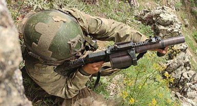 Mehmetçik'ten büyük operasyon