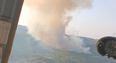 Meteoroloji uyarmıştı, korkulan oldu... Aydın Söke'de orman yangını!