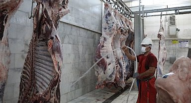 Muğla Büyükşehir'den hijyenik mezbaha